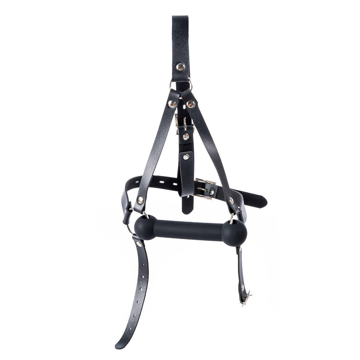 Aesthetics of Dominance - Glossy Enamel Full Head Bondage Hood with Silicone Bone Gag