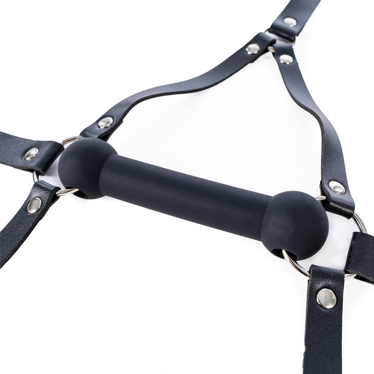 Aesthetics of Dominance - Glossy Enamel Full Head Bondage Hood with Silicone Bone Gag