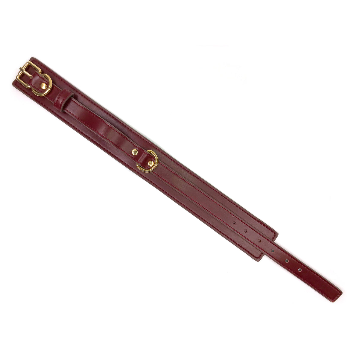 Divine Burgundy Full-Body Restraint Set - Glossy Vegan Leather & Gold