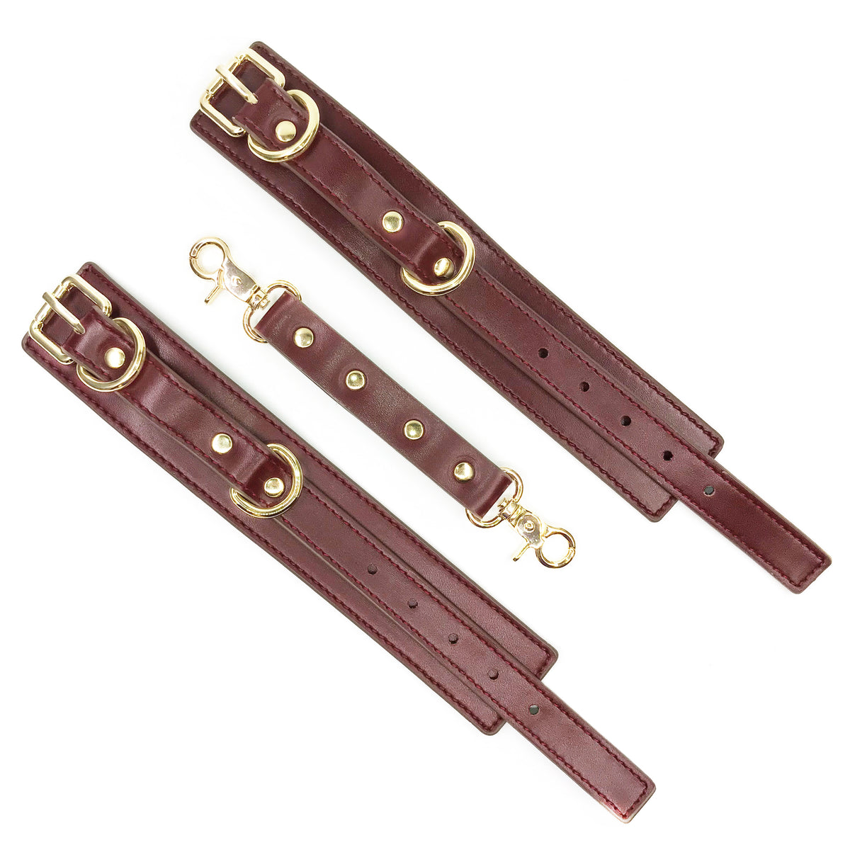 Divine Burgundy Full-Body Restraint Set - Glossy Vegan Leather & Gold