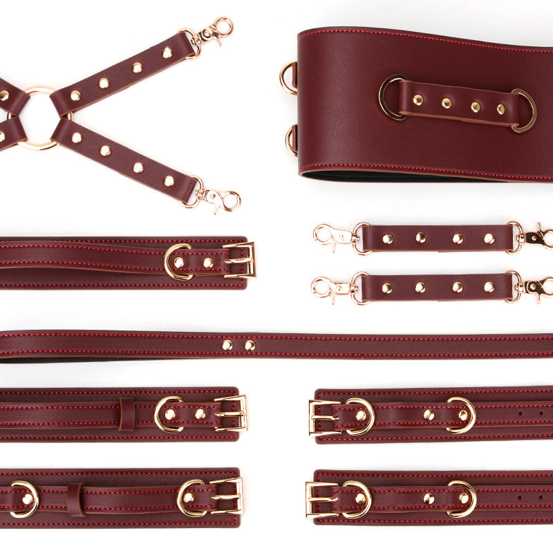 Luxury Dark Burgundy Leather Corset Restraint Set with Storage Bag