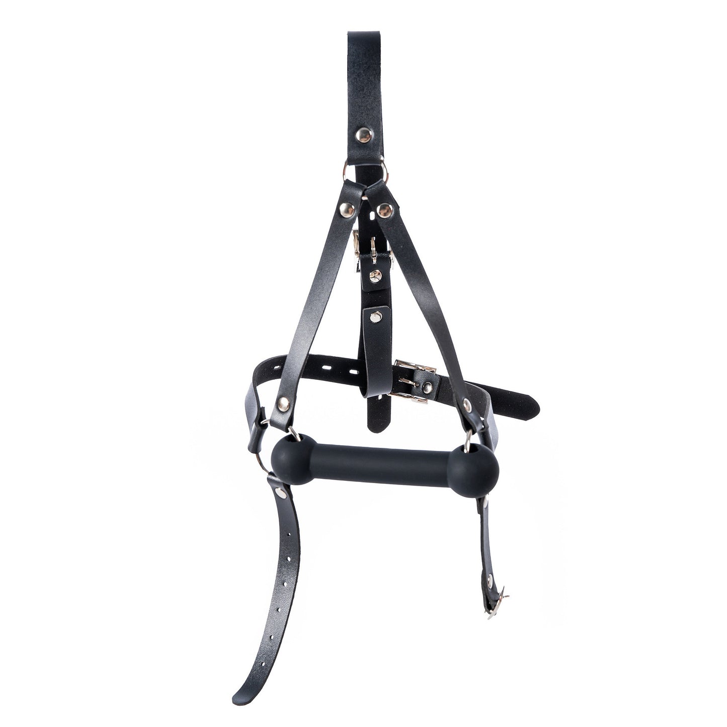 Aesthetics of Dominance - Glossy Enamel Full Head Bondage Hood with Silicone Bone Gag