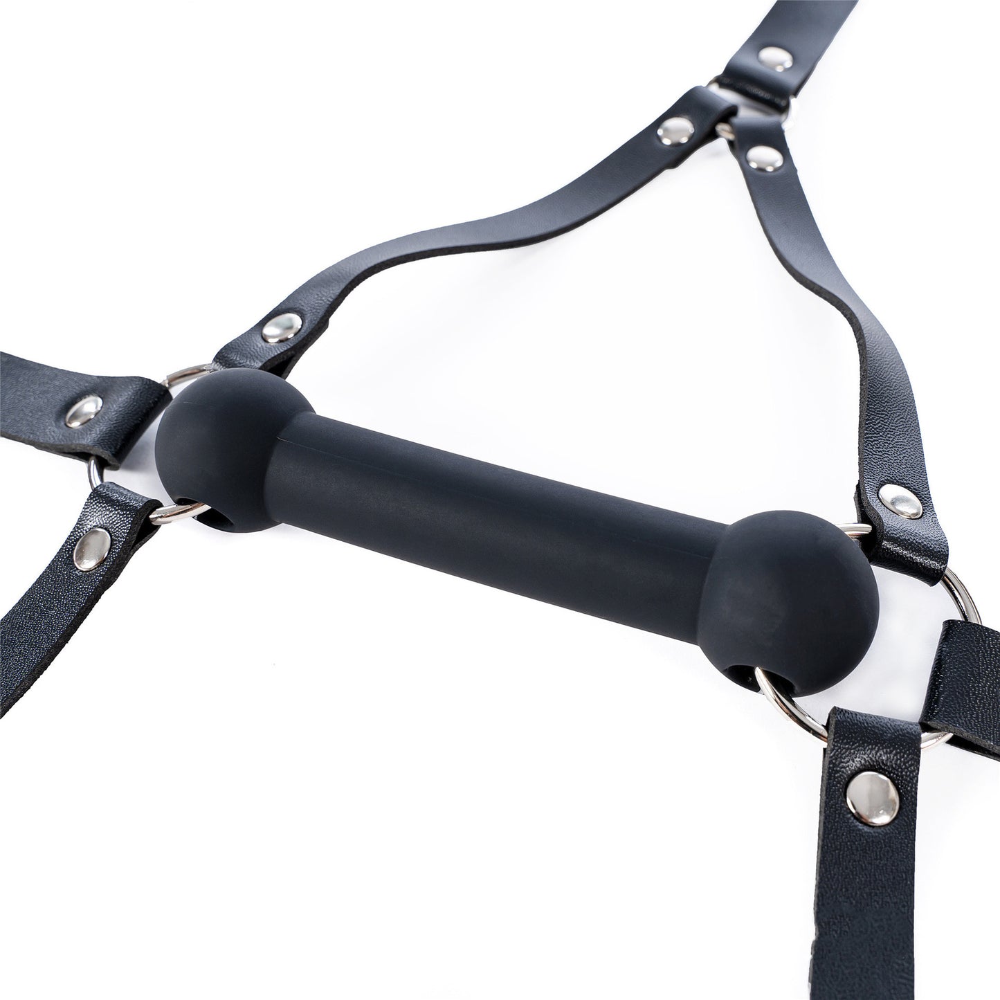 Aesthetics of Dominance - Glossy Enamel Full Head Bondage Hood with Silicone Bone Gag