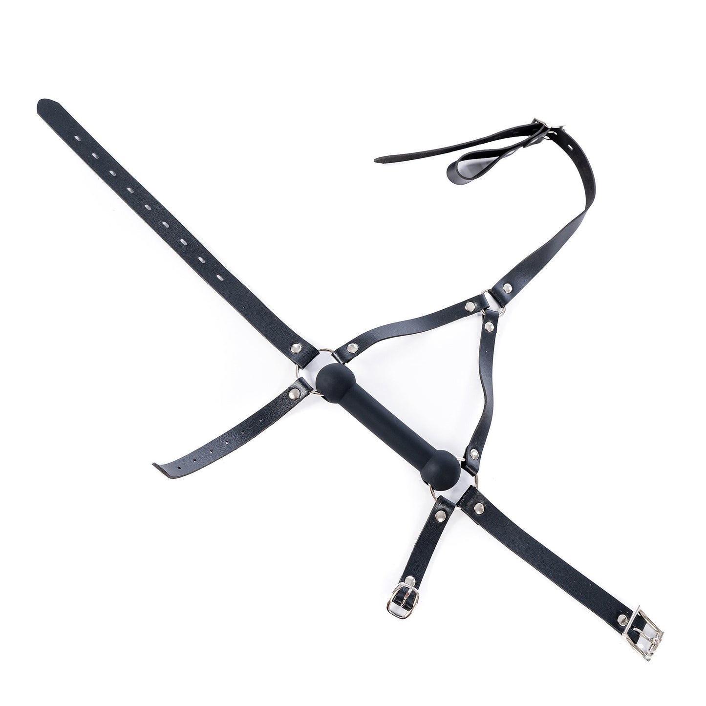 Aesthetics of Dominance - Glossy Enamel Full Head Bondage Hood with Silicone Bone Gag