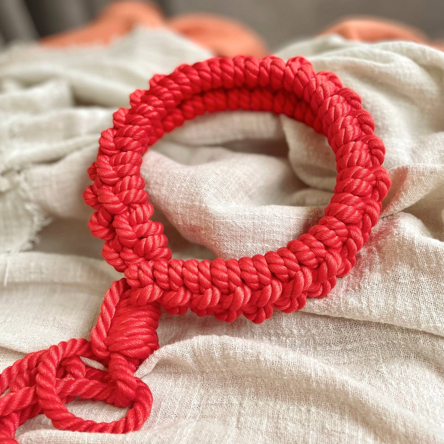 Shibari Cotton Rope Collar with Leash Red