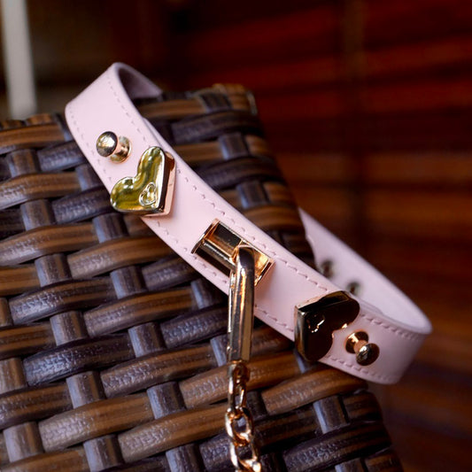 Light pink genuine leather collar and leash set with gold heart hardware