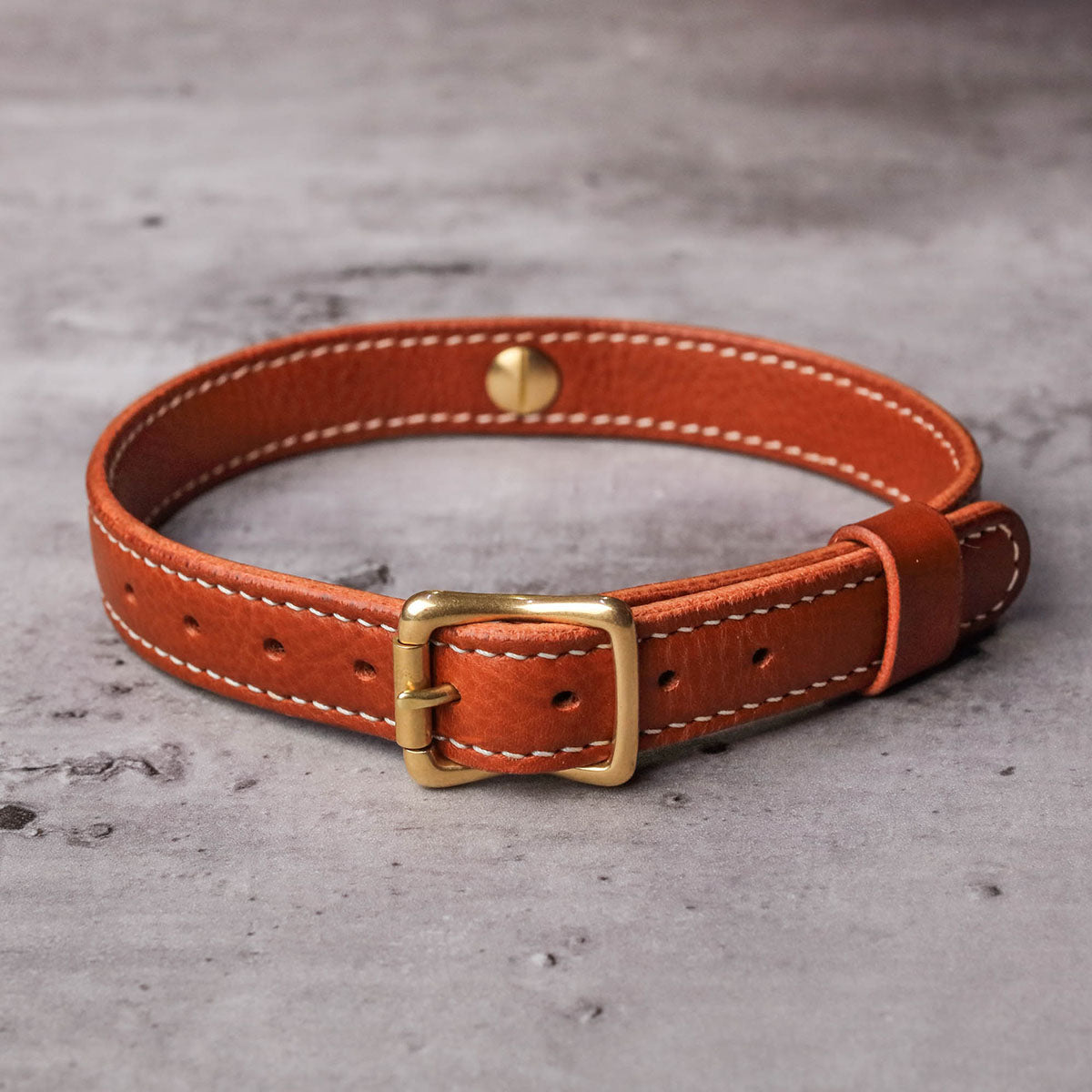 Italian M-Box Vegetable-Tanned Leather Collar/Choker with Leash