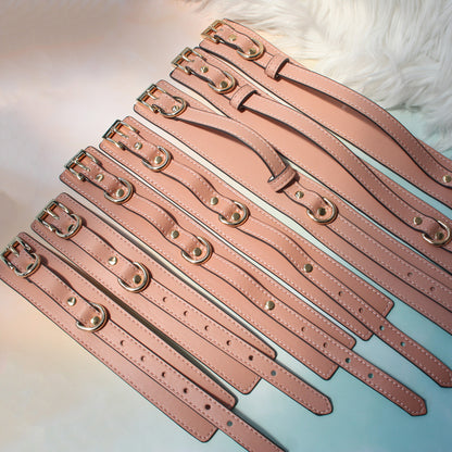 Cute Pink Premium Bondage 7-Piece Set with Storege Bag