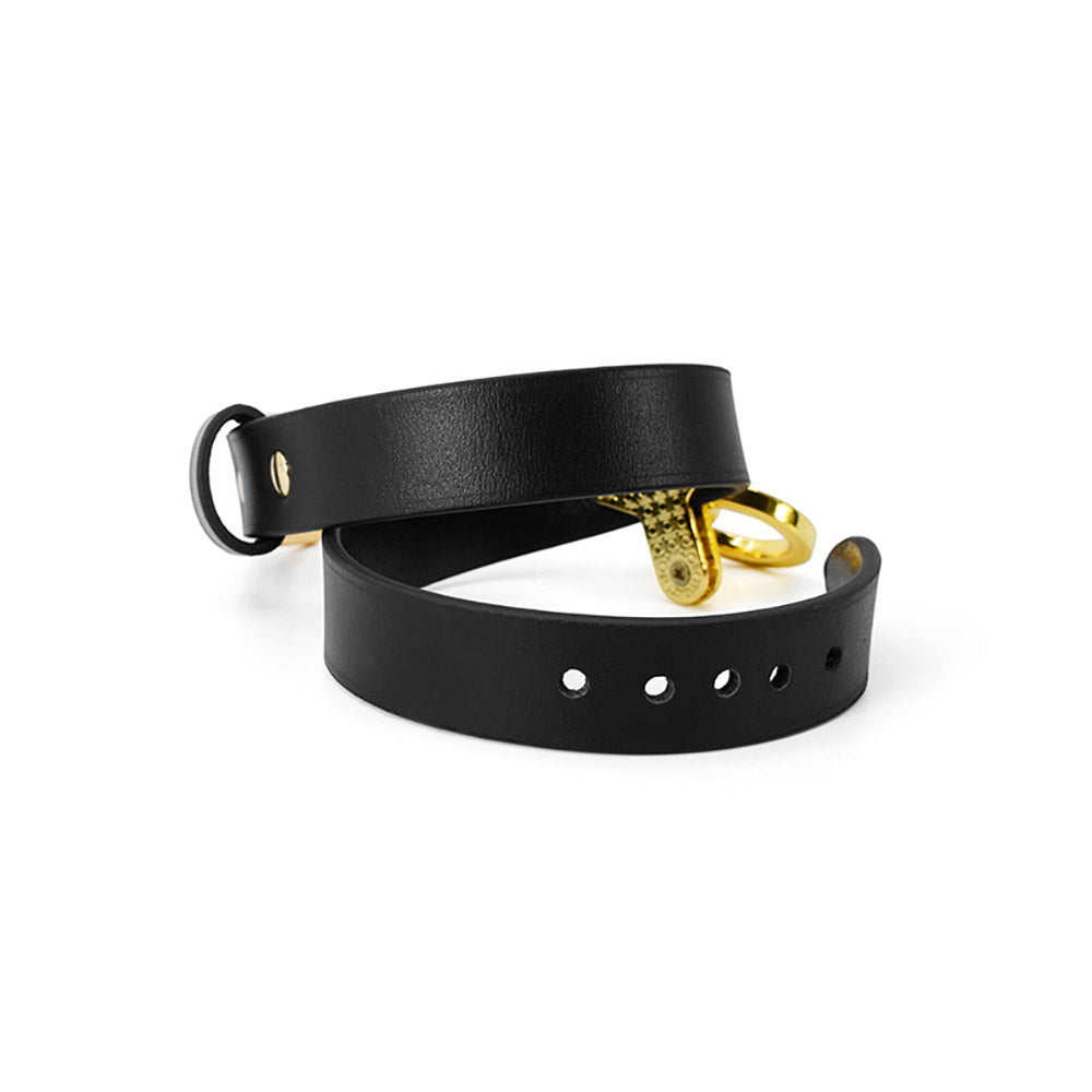 Gold O-Ring Premium Leather Bondage Collar with Leash