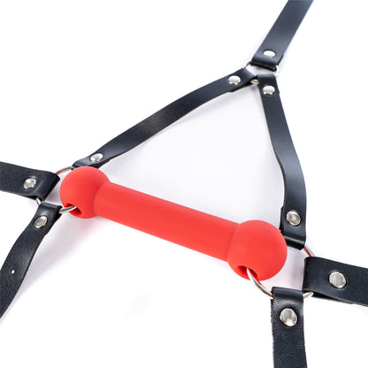 Aesthetics of Dominance - Glossy Enamel Full Head Bondage Hood with Silicone Bone Gag