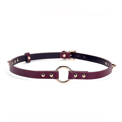 Luxury Burgundy Vegan Leather Bondage Kit 12 Piece