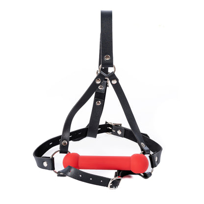 Aesthetics of Dominance - Glossy Enamel Full Head Bondage Hood with Silicone Bone Gag