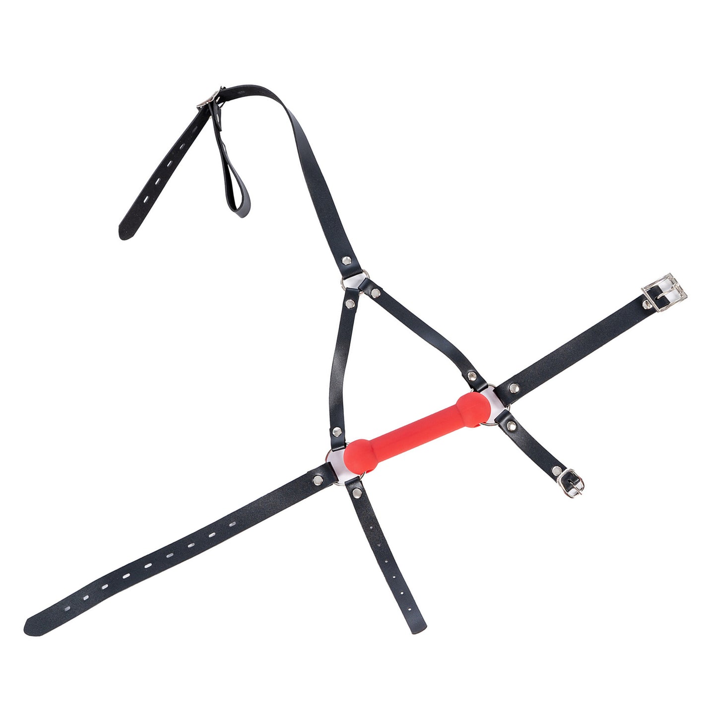 Aesthetics of Dominance - Glossy Enamel Full Head Bondage Hood with Silicone Bone Gag