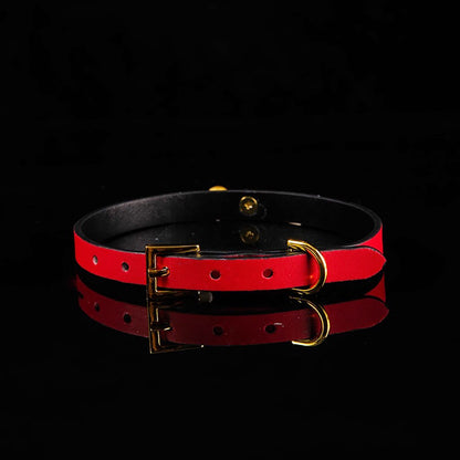 Minimalist Cowhide Leather BDSM Collar with Sterling Silver Bell and Leash Black&Red