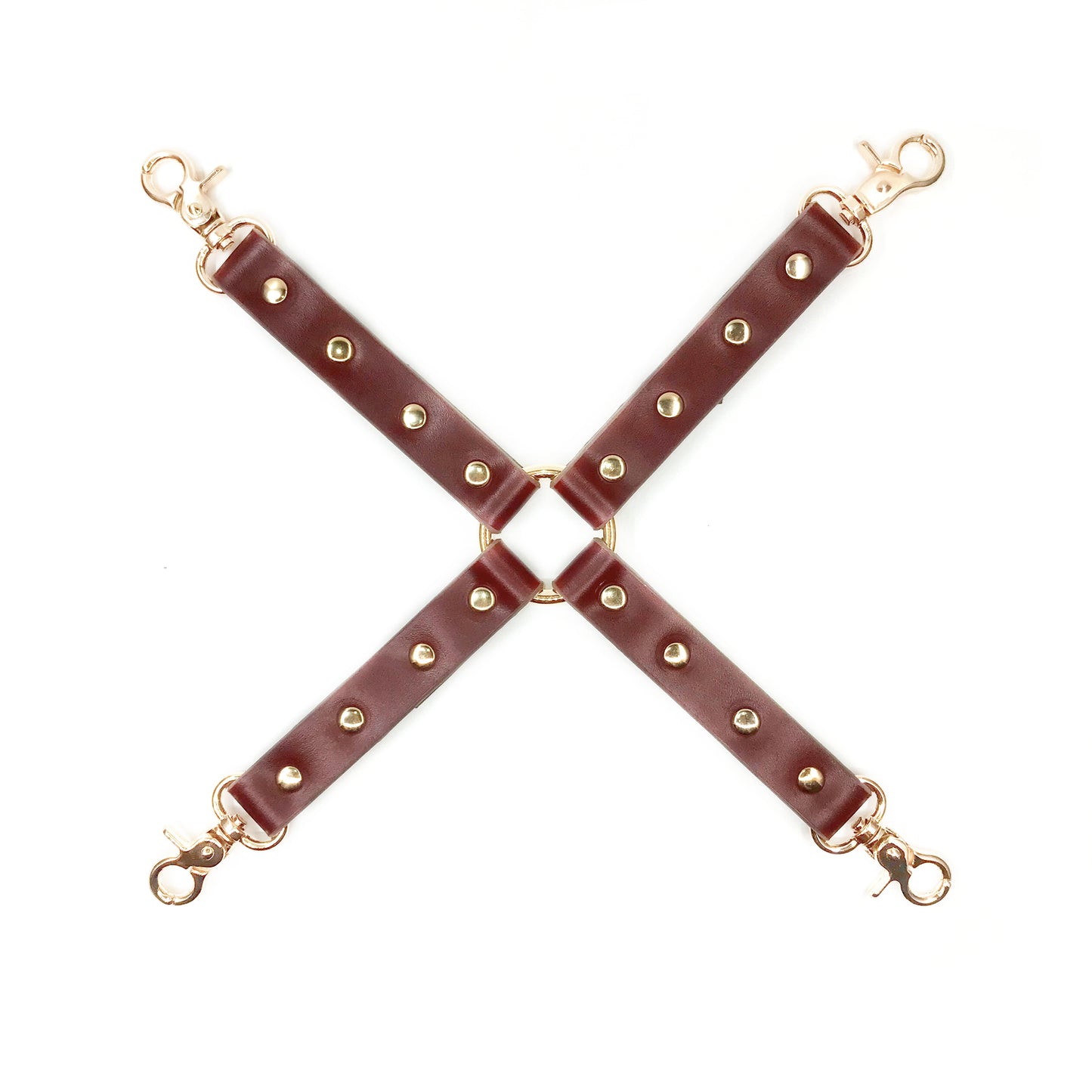 Vegan Burgundy Corset Bondage Set with Storage Bag